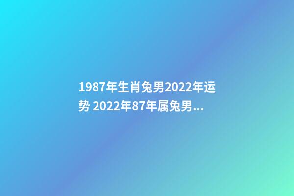 1987年生肖兔男2022年运势 2022年87年属兔男运势,87年兔男2022年运势及运程-第1张-观点-玄机派